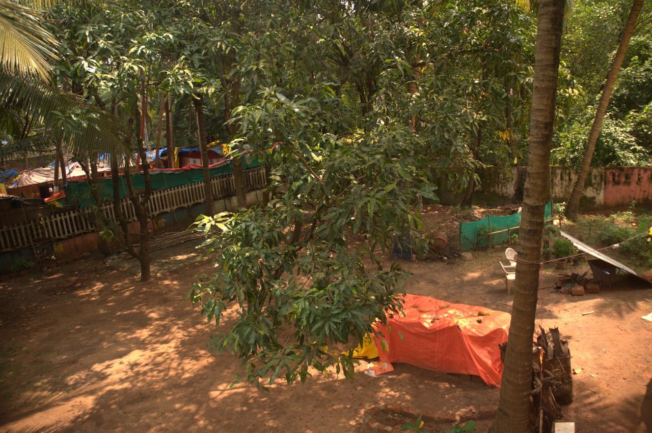 Namahstay Eco Hostel & Coworking & Art Community Spaceアランボル エクステリア 写真